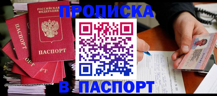 временная регистрация гарантия в Камышине